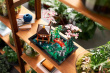 LEGO LEGO Icons 10315 Tranquil Garden
