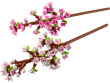 LEGO 40725 CHERRY BLOSSOMS