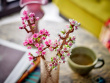 LEGO 40725 CHERRY BLOSSOMS