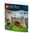 LEGO 30706 Harry Potter Quidditch Training (Polybag)