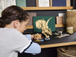 LEGO JURASSIC WORLD 76969 Dinosaur Fossils: Triceratops Skull