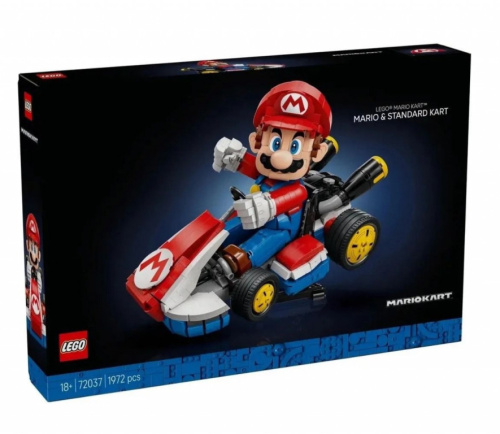 LEGO Bricks Super Mario 72037 Mario Kart Mario and Standard Kart