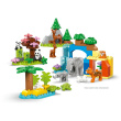 LEGO 10446 DUPLO Town Wildtier-Familien 3-in-1-Set