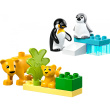 LEGO 10442 DUPLO Town Wildtier-Familien: Pinguine und Lwen