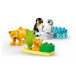 LEGO 10442 DUPLO Town Wildtier-Familien: Pinguine und Lwen