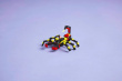 LEGO CREATOR 3 IN 1 31159 Surprising Spider