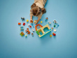 LEGO LEGO DUPLO 10416 Caring for Animals at the Farm