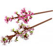 LEGO Iconic Kirschblüten 40725