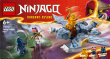 LEGO LEGO Ninjago 71810 Young Dragon Riyu