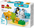 LEGO DUPLO 10442 Wild Animal Families: Penguins & Lions
