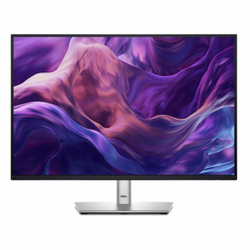 Dell 24 Monitor - P2425, 61cm (24.0