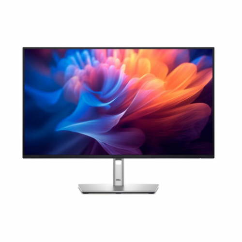 Dell 24 Monitor - P2425H, 60.5cm (23.8