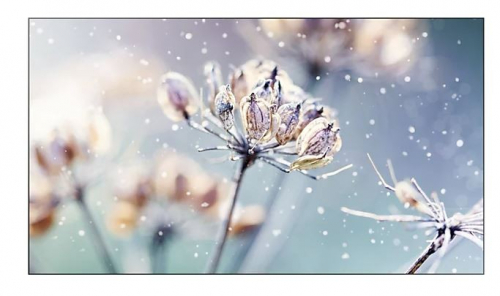 Samsung Professional monitor VM46B-U 46 inch Video wall Mat 24h/7 500(cd/m2) 1920 x 1080(FHD) N/A 3 years On-Site (LH46VMBUBGBXEN)