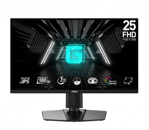 MSI Monitor G255PF E2 24,5 cala LED/FHD/Flat/180Hz/Black