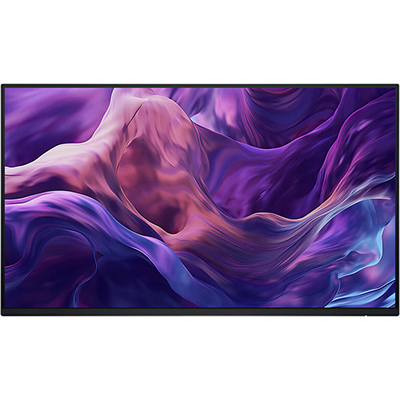 Dell 24 Monitor - P2425H, without stand, 60.5cm (23.8