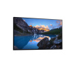 Dell UltraSharp 24 Monitor - U2424H without stand, 60.47cm (23.8