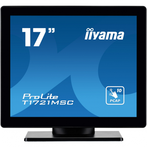 IIYAMA 43.0cm (17