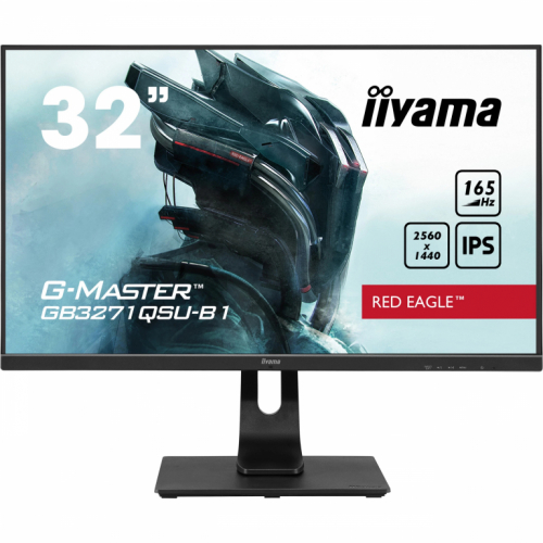IIYAMA 80.0cm (31.5