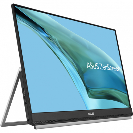 ASUS ZenScreen MB249C 60.5cm (16:9) FHD HDMI 21231710