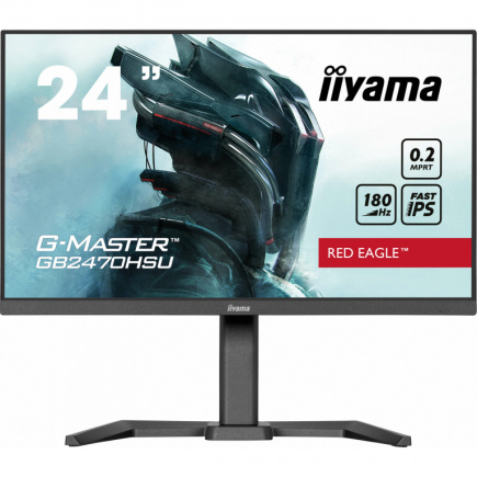 IIYAMA 60.5cm (24