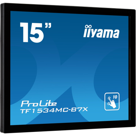 IIYAMA 38.0cm (15