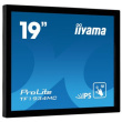 IIYAMA 48.0cm (19
