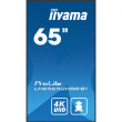 IIYAMA 164.0cm(65