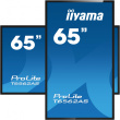 IIYAMA 164.0cm(65