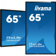 IIYAMA 164.0cm(65