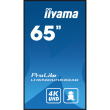 IIYAMA 164.0cm(65