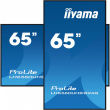 IIYAMA 164.0cm(65