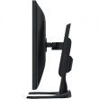 EIZO 80.0cm (31.5
