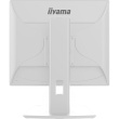 IIYAMA 48.0cm (19