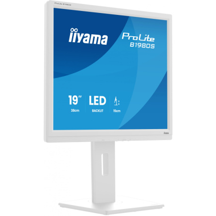 IIYAMA 48.0cm (19