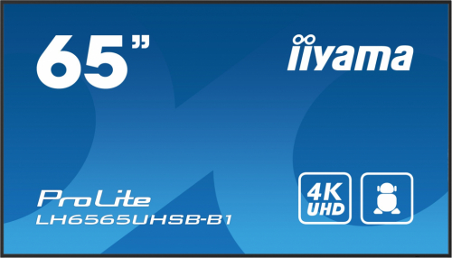 iiyama ProLite Digital signage flat panel 163.8 cm (64.5