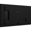 IIYAMA 125.7cm(49.5