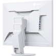 EIZO 61.0cm (24