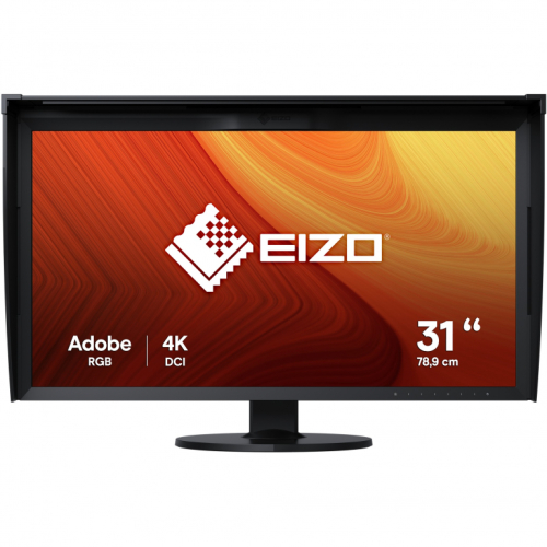 EIZO 79.0cm (31.1