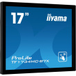 IIYAMA 43.0cm (17
