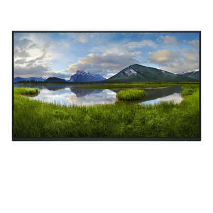 Dell 24 Monitor - P2425H, without stand, 60.5cm (23.8