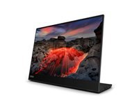 LENOVO ThinkVision M14t Gen 2 14inch Touch 2240x1400 16:10 IPS 10-point touch incl. passive pen USB-C