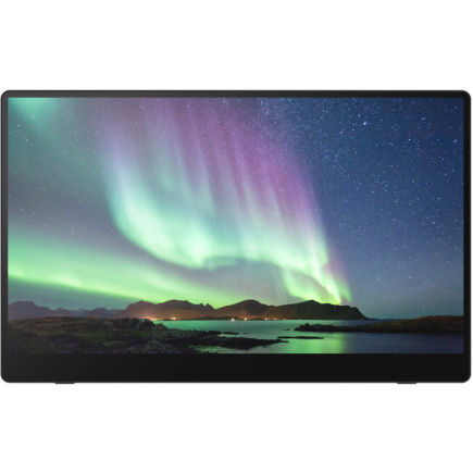 RICOH 150BW Mobiler Monitor Touchscreen 15.6