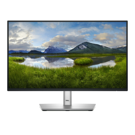Dell 22 Monitor - P2225H, 54.6cm (21.5