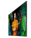 Samsung Professional monitor QH65C 65 inches Matte 24h/7,700(cd/m2) 3840 x 2160 (UHD) S10 Player (Tizen 7) WiFi/BT 3 years On-Site (LH65QHCEBGCXEN)