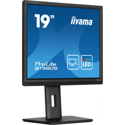 IIYAMA 48.0cm (19