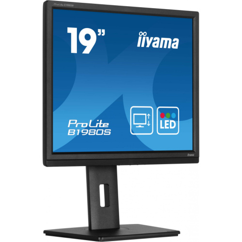 IIYAMA 48.0cm (19