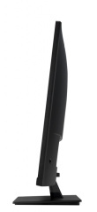 ASUS VP32AQ LED display 80 cm (31.5