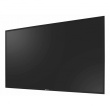 AG neovo HMQ-4301 109.2cm black