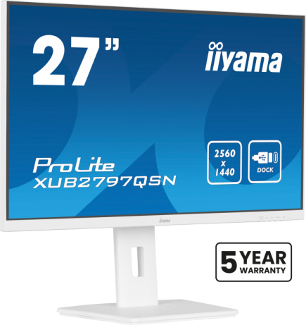 27’’ QHD IPS technology panel with USB-C dock and RJ45 (LAN) IIYAMA