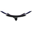 ASUS ROG Swift PG39WCDM 99.06cm (21:9) UWQHD HDMI DP